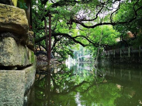 广州旅游景点排名(广州十大名胜古迹)插图29
