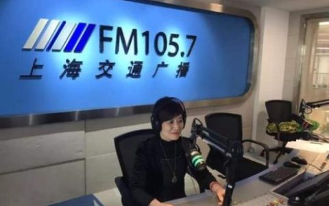 上海婚介公司排名前十(上海高端婚介所哪家最好)