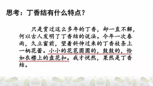 霜树尽空枝肠断丁香结(芭蕉不展丁香结同向春风各自愁)插图40