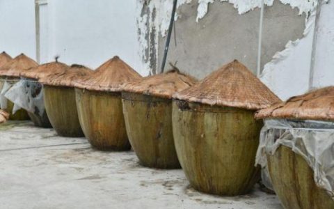 手工酱油销量排名前十(酱油全国前十)