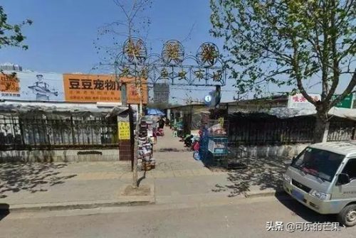 石家庄服装批发市场(石家庄服装批发市场在哪)插图18