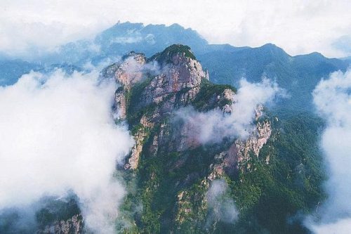 南阳顶尖企业排名前十(南阳顺企网)插图1
