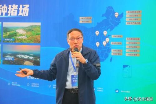 世界屠宰机械排名前十(兖州源顺屠宰机械有限公司)插图4