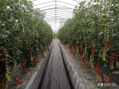 温州沙滩酒吧排名前十(温州最好的酒吧排行)插图27