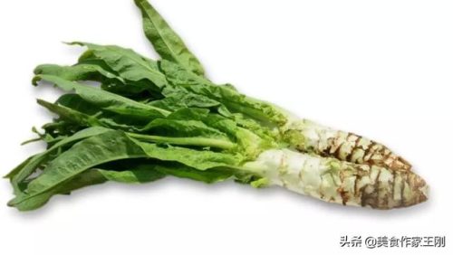 新鲜蔬菜(疏菜品名称大全)插图9