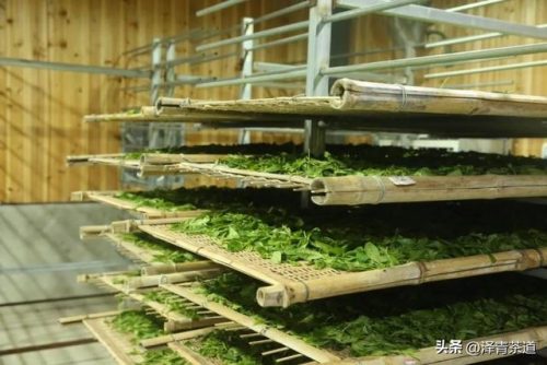 常用茶道排名前十(十大茶叶)插图40