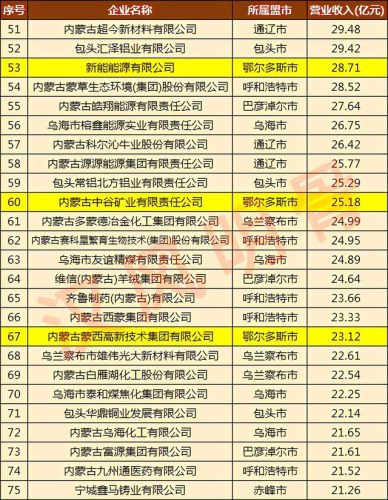 内蒙私企集团排名前十(中国十大民营企业)插图4