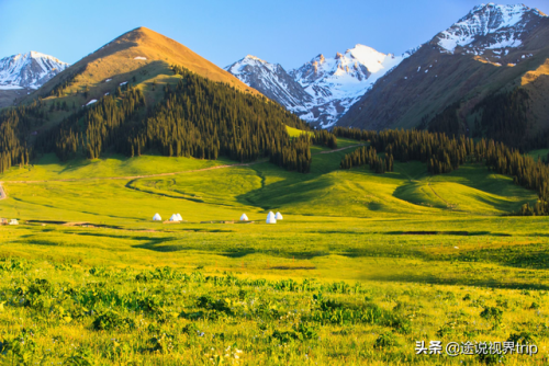新疆顶级牧场排名前十(叶城二牧场)插图17