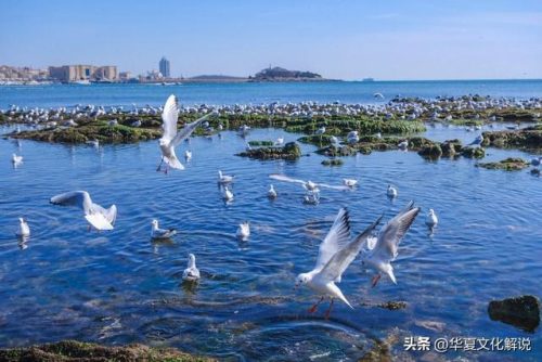 青岛订婚风俗(青岛订婚六样礼有什么东西)插图