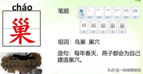 嗅字组词(嗅觉的嗅可以组什么)插图7