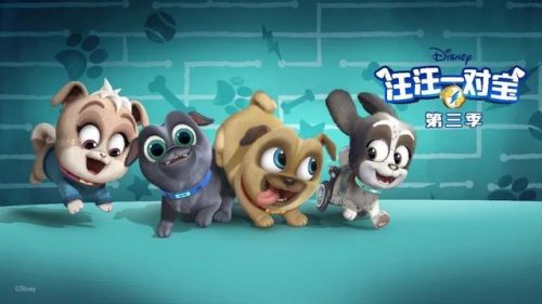 动物世界的演员(动物世界一共几个演员)插图36