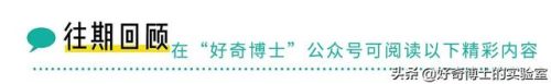 粉木耳什么意思(粉_木耳)插图18