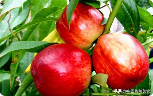 枣阳小吃排名前十店(枣阳仁和小吃培训)插图6