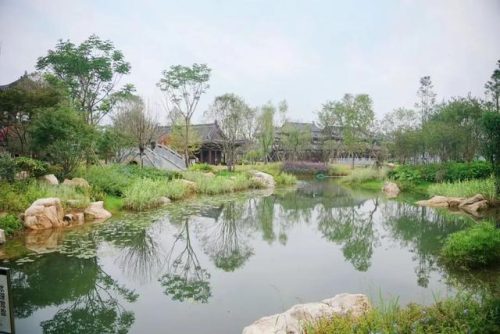 成都适合拍照的地方(成都拍照圣地)插图71