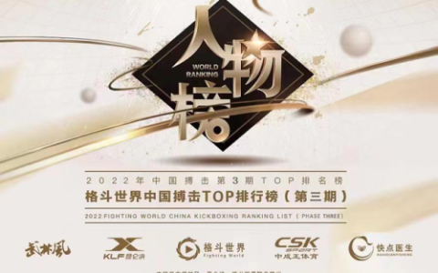 格斗技术排名前十(最厉害的格斗术排名)