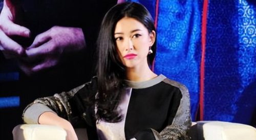 女星朱珠(跟朱珠长的像的女星)插图7