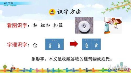 拇组词组(拇指的拇还能组哪些词)插图28