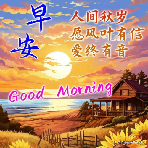 阳光早上好图片大全集(阳光早上好图片)插图1