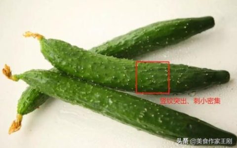 新鲜蔬菜(疏菜品名称大全)