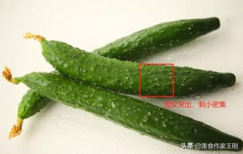 新鲜蔬菜(疏菜品名称大全)插图