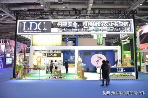 荷兰粮油企业排名前十(荷兰高科技企业)插图7