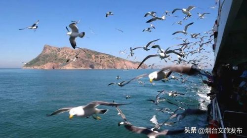 烟台音响(音索益音响烟台有限公司)插图40