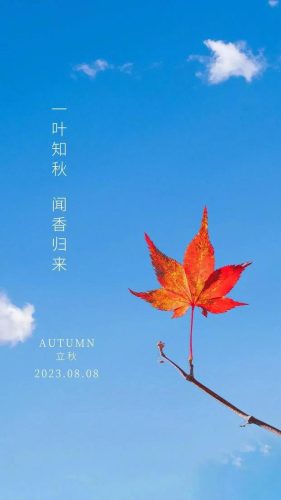 立秋图片大全高清(一叶知秋图片)插图15