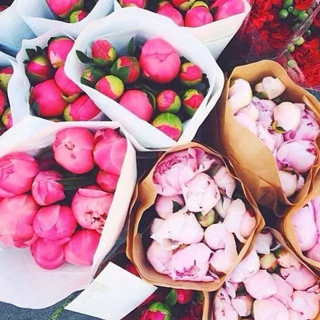 清明送花(送花写的卡片内容)插图1