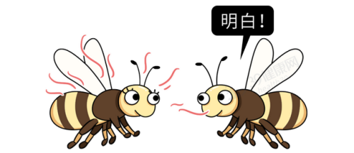 同志催情(rush是什么东西的中文名)插图4
