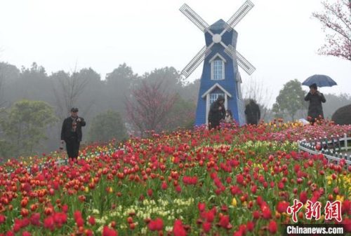 铁山坪森林公园(铁山坪)插图3
