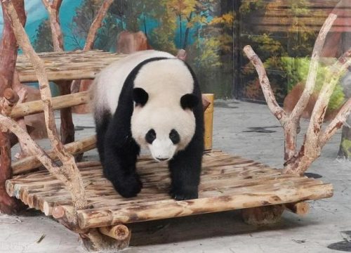 南宁景点等级排名前十(南宁石埠网红打卡景点)插图1