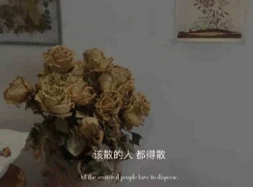 爱情是个懒东西结局(爱情不是你想)插图2