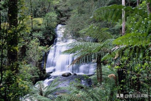 悉尼潜水设施排名前十(悉尼最危险的十个区)插图16