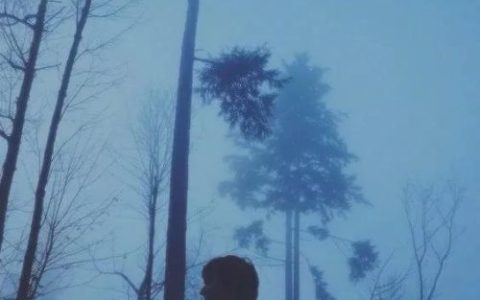百年孤寂(百年孤寂苏玮完整版)
