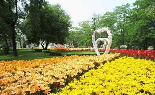 沈阳旅游景点大全(沈阳26个网红打卡地)插图17