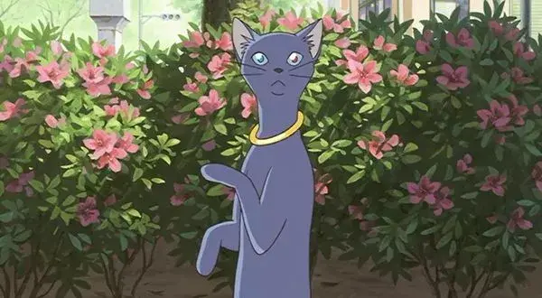千与千寻2猫的报恩(宫崎骏的所有作品电影猫的报恩)插图1