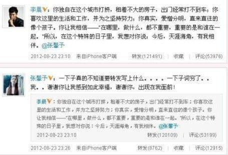 李晨的老婆(李晨有女朋友吗)插图19