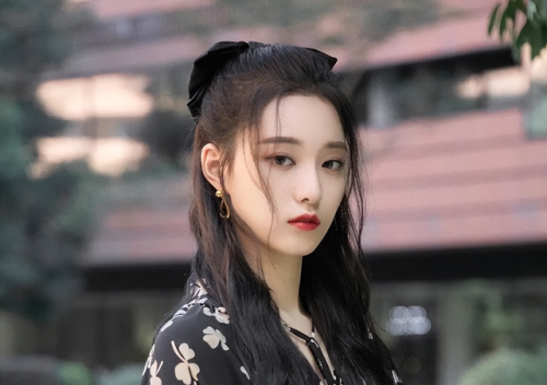 徐艺洋个人资料(徐艺洋个人资料(简介,身高,年龄))插图2