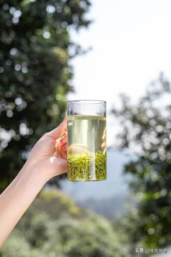 常用茶道排名前十(十大茶叶)插图29