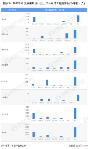 中国索道公司排名前十(中国索道排名前十)插图6