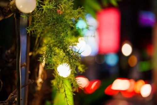50定焦(50定焦1.8怎么样)插图12