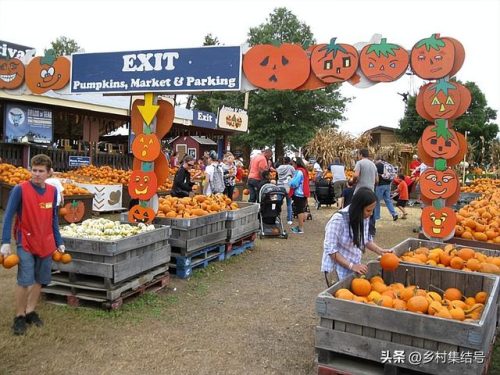 美国玉米农庄排名前十(玉米农庄)插图31