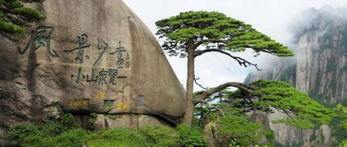 全国各地旅游景区(附近景区旅游景点大全)插图1