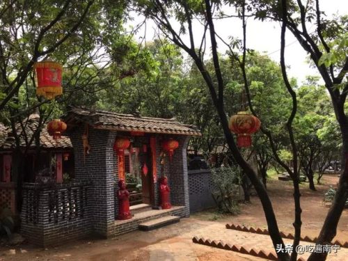 南宁好看农庄排名前十(南宁四塘学雍自然农庄)插图12