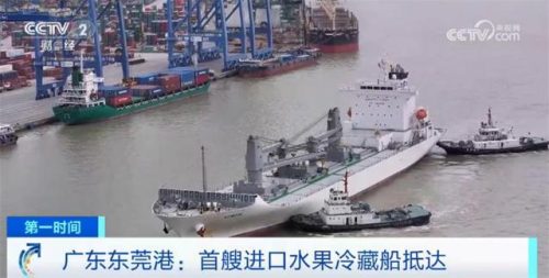 水果运输(水果运输用什么车)插图