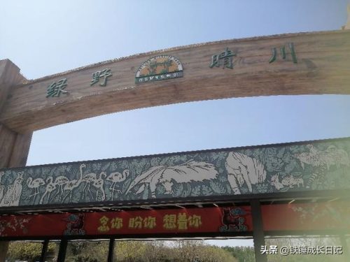 大兴野生动物园团购(北京野生动物园价目表)插图2