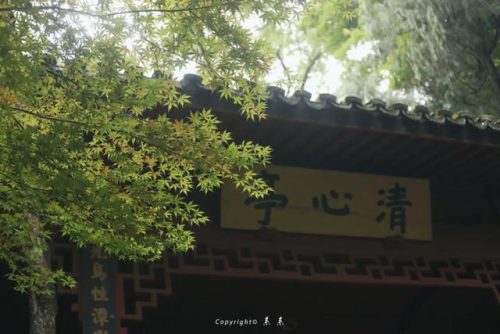 天台点心美食排名前十(天台特色美食哪里吃)插图65