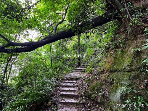 蒲江寺庙人气排名前十(大邑十大寺庙排名)插图11