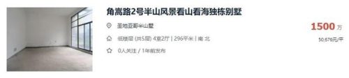 漳州高层豪宅排名前十(上海豪宅小区)插图13