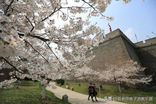 西安园林景点排名前十(西安周边一日游)插图23